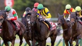 【今日の注目ポイント】好メンバー揃う東京新聞杯と登竜門・きさらぎ賞