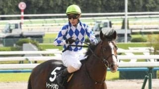 【東京新聞杯予想】過去の上位人気は厳しい成績 持続力優れたタフな馬に勝機か