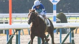 【きさらぎ賞予想】クラシック目指す若駒集結 瞬発力勝負の一戦を制するのは？