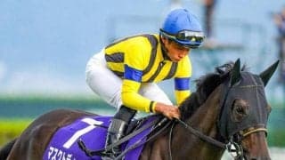 東京芝は雨の影響なく内有利 差し馬勢は立ち回りがカギ