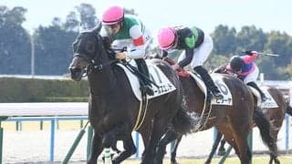 【京都5R新馬戦結果】ロードカナロア産駒ワールズエンドが抜け出し快勝