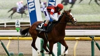 【ゆりかもめ賞】ウインマクシマムが鮮やかに逃げ切る