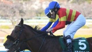 【京都記念】ベラジオオペラ、ルージュエヴァイユらが登録