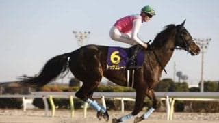 【フェブラリーS】ドゥラエレーデ、ウィルソンテソーロら27頭が登録