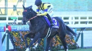 【共同通信杯】ジャンタルマンタル、ベラジオボンドらが登録