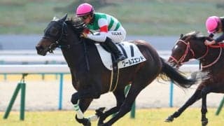 【新馬/京都5R】ワールズエンドがデビューV…キタサンブラック半弟は2着