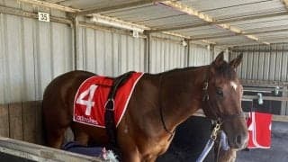 【オーストラリア競馬】豪移籍ニシノクレセントが断然の支持に応えて2勝目をマーク…川上代表「まっすぐ走れたのは収穫」