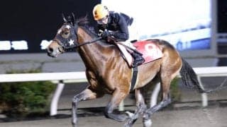 【高知・土佐水木特別】昨年最優秀2歳のプリフロオールインが今季初戦を快勝…宮川「大事に仕上げていきたい」