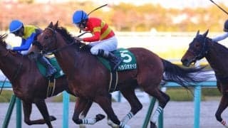 【京都記念登録馬】ベラジオオペラなど12頭