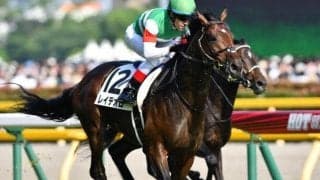 きょうレイデオロ10歳の誕生日 頭に入れたい種牡馬としての特徴的なデータとは