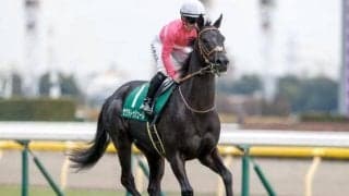 【東京新聞杯】売上は78億7376万400円で昨年より約10億円減少