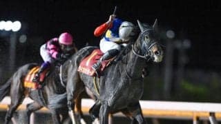 【船橋・クイーン賞枠順】連覇を狙うライオットガールは8枠9番