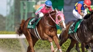 【フェブラリーS出走馬決定順】オメガギネスなど11頭が除外見込み フルゲート16頭に27頭登録