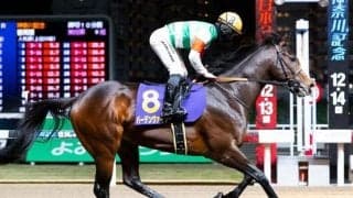 【先週のJRA抹消馬】ダート重賞2勝のバーデンヴァイラー、牝馬路線で活躍したマリアエレーナなど