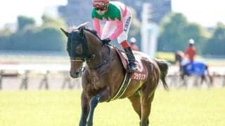 【AI予想・京都記念】伝統の一戦は前走のレース格と年齢が勝負の鍵を握る!? 本命候補は確かな実力を持つ精鋭3頭