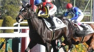 半兄は2歳王者グレナディアガーズ スケール感溢れる妹がクイーンCで兄妹重賞V狙う