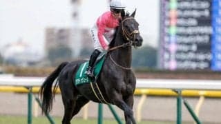 ネオユニヴァース産駒7年ぶりの芝重賞勝ち 血統に込められたパワーが開花