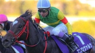 武豊騎手が15年ぶりの共同通信杯V狙う 朝日杯FS2着馬とタッグで参戦