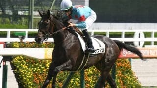 【クイーンC想定騎手】サフィラは松山弘平騎手、クイーンズウォークは川田将雅騎手