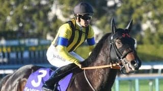 【共同通信杯想定騎手】ジャンタルマンタルは川田将雅騎手、エコロヴァルツは武豊騎手