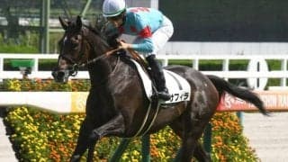 【クイーンC展望】活躍馬続出の3歳牝馬重賞にサフィラが登場