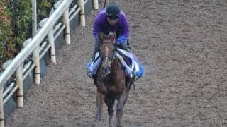 ピンハイなど、先週の入厩情報/栗東トレセンニュース