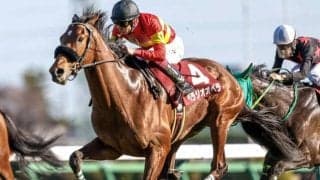 【京都記念予想オッズ】ベラジオオペラが予想1番人気