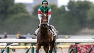 なぜ共同通信杯からクラシック勝ち馬が続出する？ 近10年で皐月賞馬3頭＆ダービー馬3頭