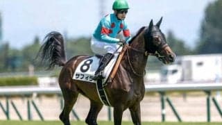 【クイーンC予想オッズ】サフィラが予想1番人気