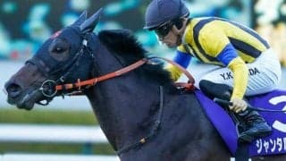 勝利すればナリタブライアン以来30年ぶりの記録 2歳マイル王者が共同通信杯で始動