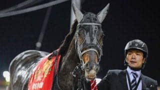 【船橋・クイーン賞注目馬】今年最初の牝馬ダート重賞 “2走連続のクイーン賞制覇”なるか