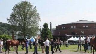 福岡ソフトバンクホークス・柳田悠岐選手の所有馬3頭 全馬の馬名決まる