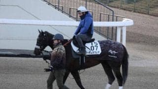 ナムラクレア、京都牝馬S1週前追い切り速報/栗東トレセンニュース