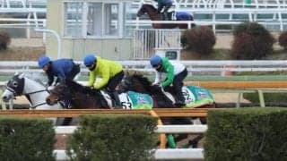 エルトンバローズ、中山記念2週前追い切り速報/栗東トレセンニュース