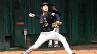 “イケメン過ぎる”新人出現　女性ファン歓喜…見つかった24歳が「まさに王子様」