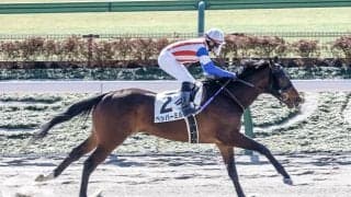 単勝247.1倍で激走Vのペッパーミル 次走はヒヤシンスSか自己条件へ