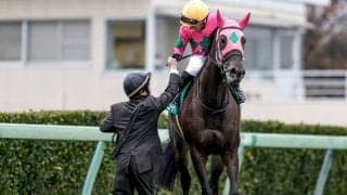 21、22年にターコイズSを連覇したミスニューヨークが抹消 高昭牧場で繁殖入り