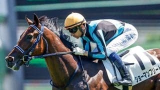 C.ルメール騎手の複勝率63％ 好相性の共同通信杯で連覇狙う
