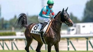 兄サリオス＆姉サラキアらに続け 良血馬サフィラがクイーンCで重賞初V狙う