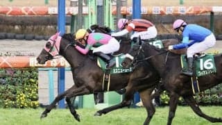 ミスニューヨークの競走馬登録抹消…ターコイズS連覇など牝馬重賞で活躍