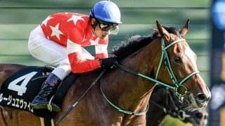 エリザベス女王杯2着馬が京都記念に参戦 牡馬混合重賞でも2着の実績アリ