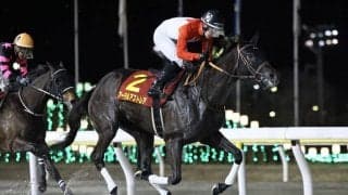 【クイーン賞】アーテルアストレアが力強く差し切る