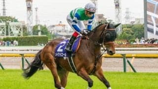 【京都牝馬S想定】メイケイエール、ナムラクレアなど18頭