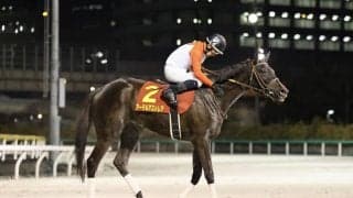 【クイーン賞】橋口師「菱田君で勝てたのも嬉しいです」アーテルアストレアが交流重賞2勝目