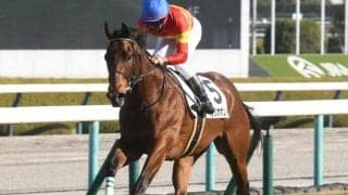 【共同通信杯展望】新馬戦を好内容で勝ったベラジオボンドに期待
