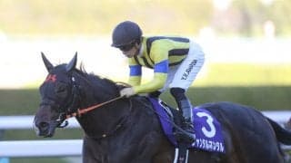 【共同通信杯】ジャンタルマンタルの逆転候補に“ジャスティン”か“ベラジオ”か　「ディープに重なる破壊力に期待」