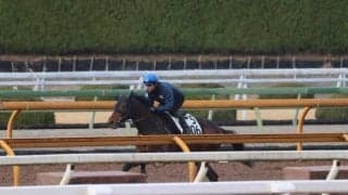 キリンジ、佐賀記念最終追い切り速報/栗東トレセンニュース