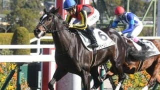 【クイーンC出走馬・騎手確定】クイーンズウォーク＆川田将雅騎手、サフィラ＆松山弘平騎手など13頭