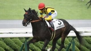 【共同通信杯出走馬・騎手確定】ジャンタルマンタル＆川田将雅騎手、エコロヴァルツ＆武豊騎手など10頭