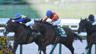 【京都記念出走馬・騎手確定】ベラジオオペラ＆横山和生騎手、ルージュエヴァイユ＆松山弘平騎手など12頭